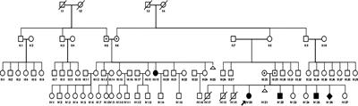 Challenges in the treatment of late-identified untreated congenital adrenal hyperplasia due to CYP11B1 deficiency: Lessons from a developing country